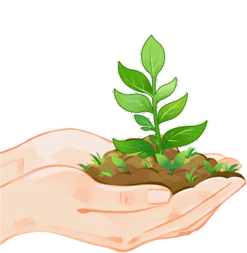 撒播环保种子,放飞绿色希望 第1张 撒播环保种子,放飞绿色希望 第1张