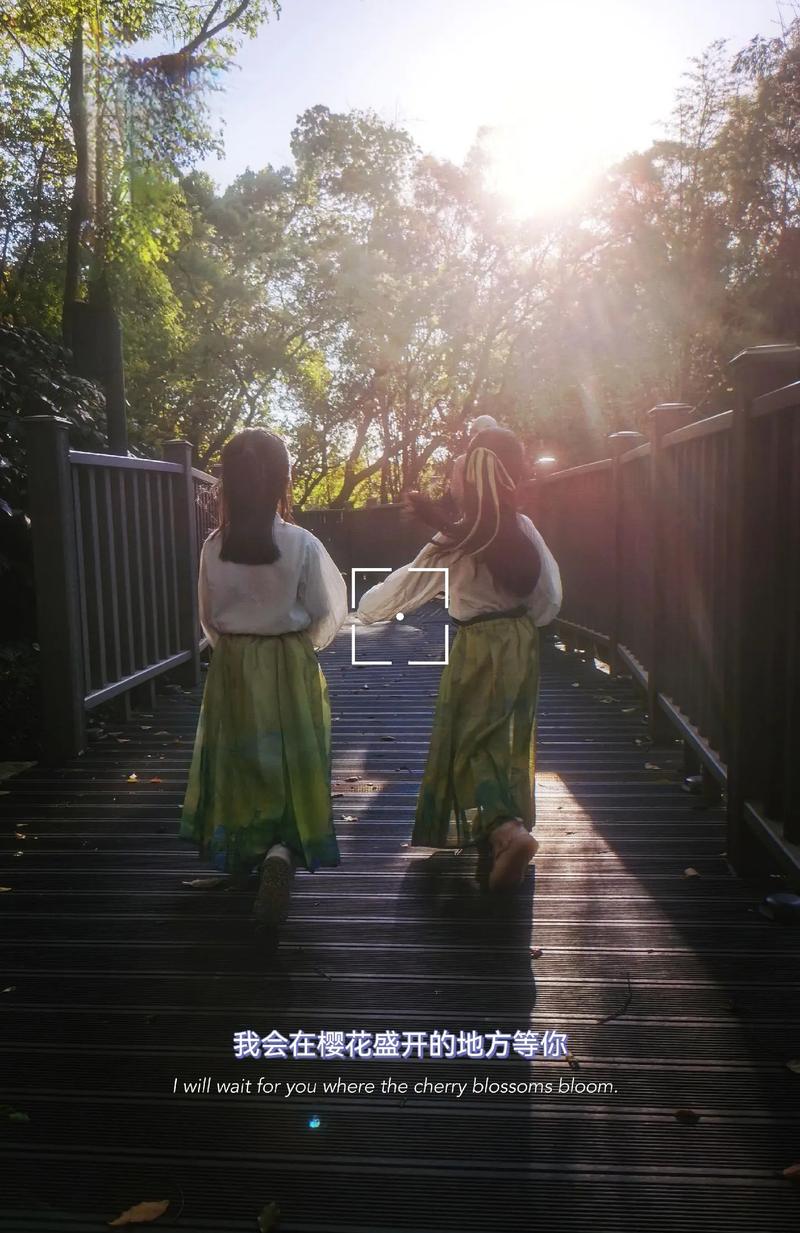 在微风中起舞  第1张