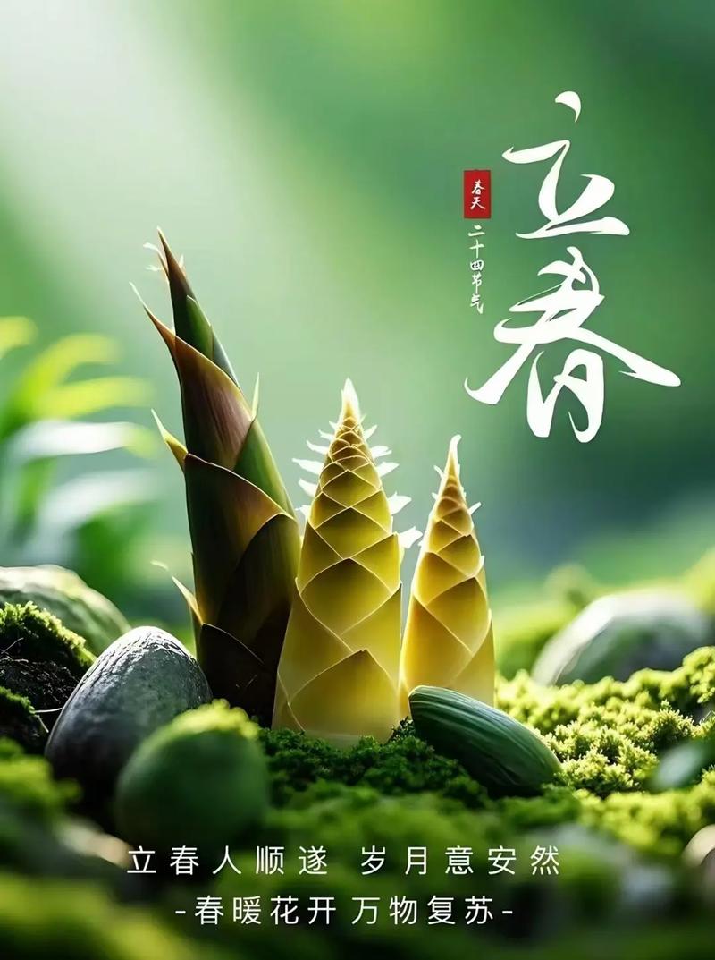 快乐一年  第1张