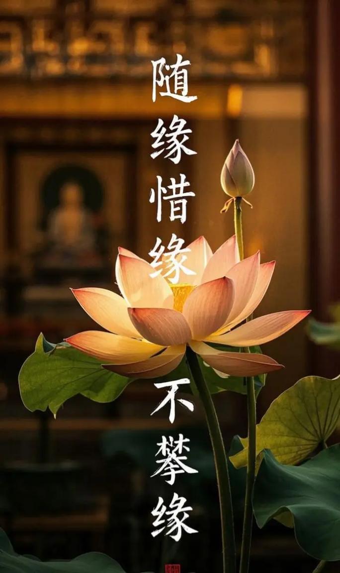 缘起时惜缘,缘灭时随缘 第1张 缘起时惜缘,缘灭时随缘 第1张