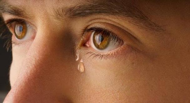 卑微的眼泪  第1张