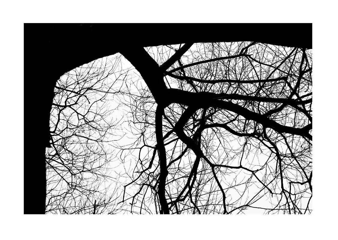 不愿回忆  第1张