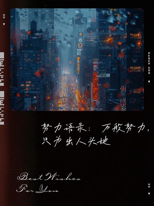 一切的努力都是徒劳  第1张