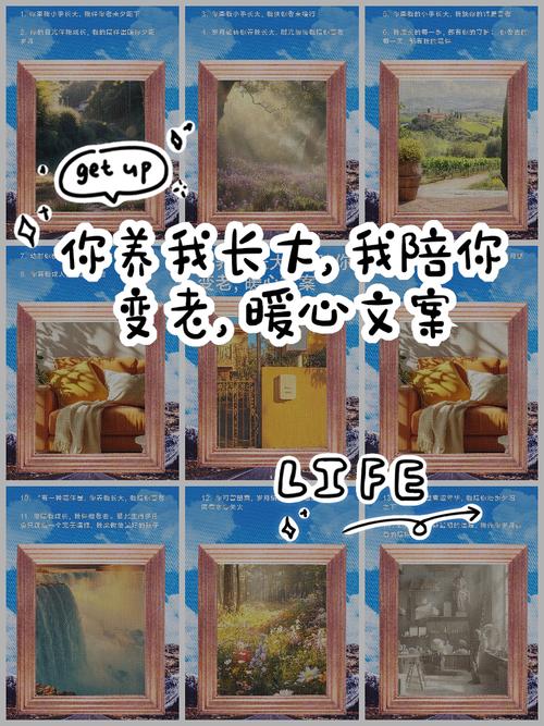 把我带大，我陪你变老  第1张