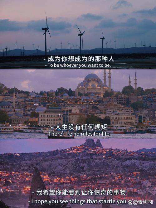 所能忆起的是所有关于这个世界的美好  第1张