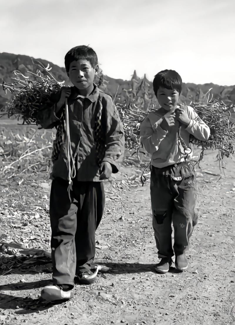 草色童年 第1张 草色童年 第1张