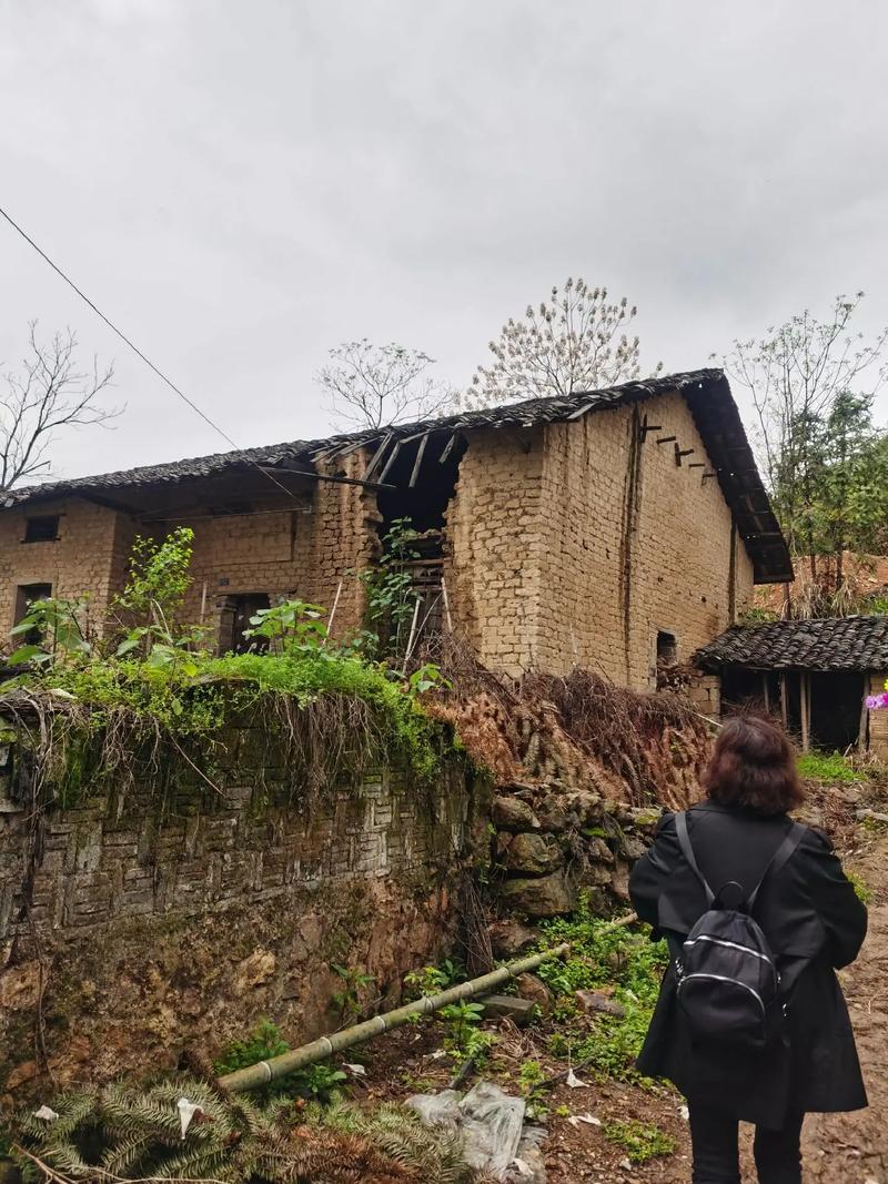 我家屋后有条渠  第1张