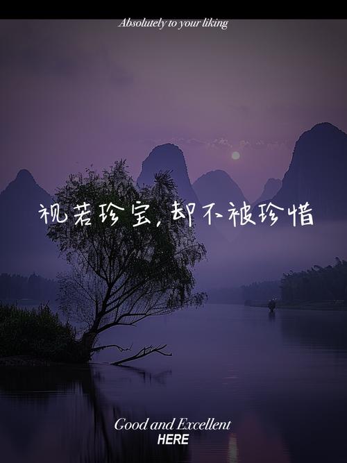 怀念不如珍惜  第1张