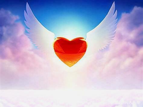 让心去飞翔  第1张