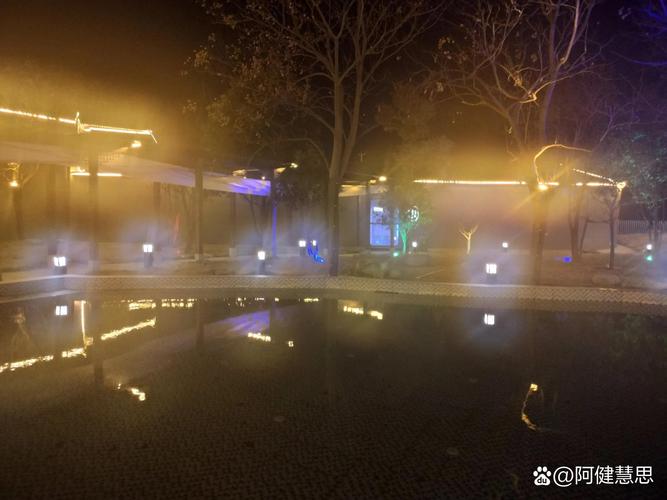 夜的温柔  第1张