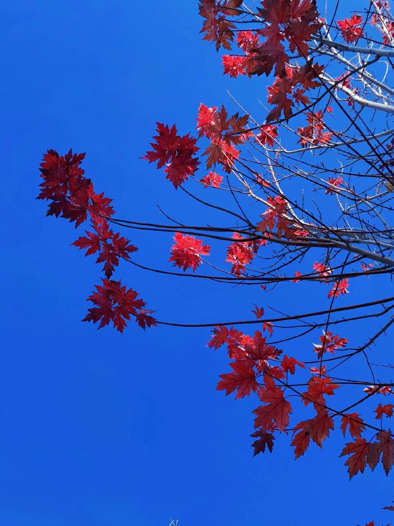 秋天的美好  第1张