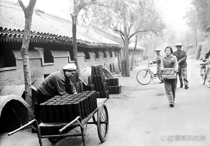 拉煤岁月  第1张