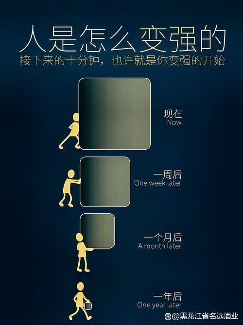 约束，是为了飞得更高  第1张