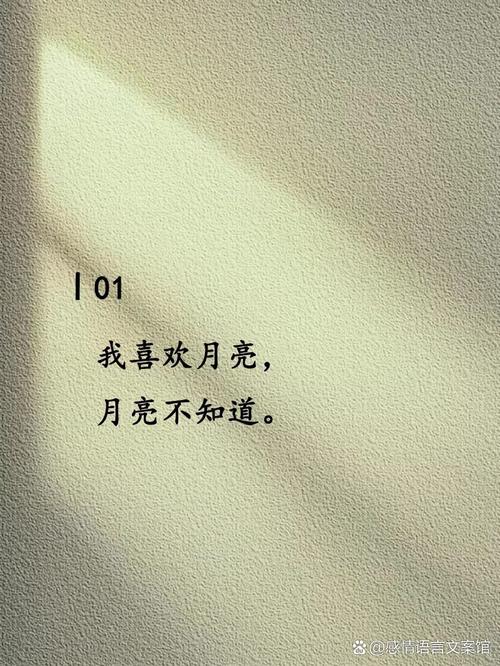 过去的暗恋总是难忘  第1张