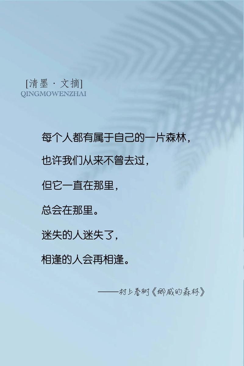 一个并不文艺的回顾  第1张