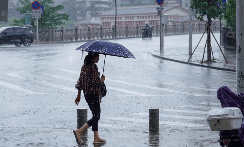 南方的雨  第1张