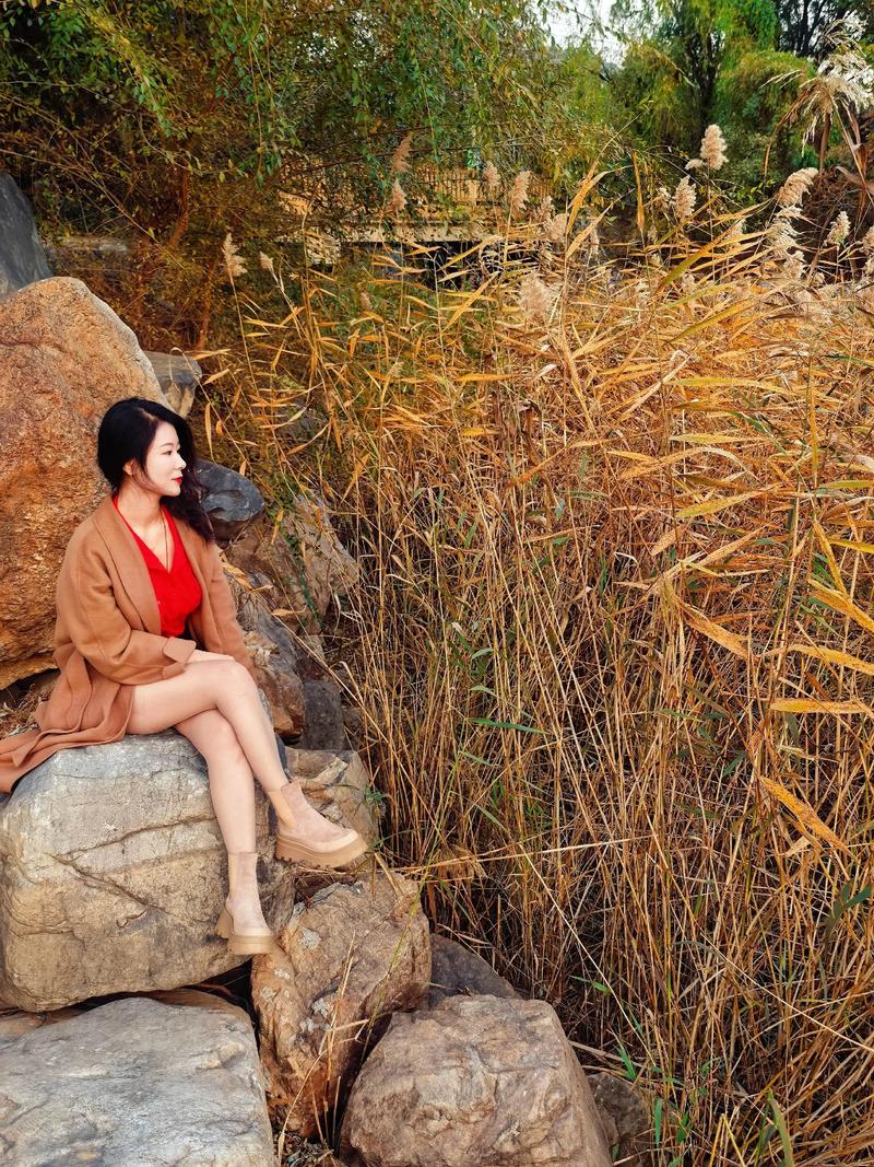 瑟瑟的秋风  第1张