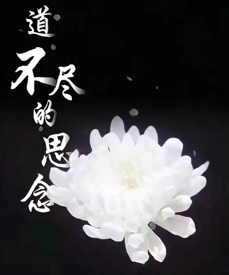 想念爷爷  第1张