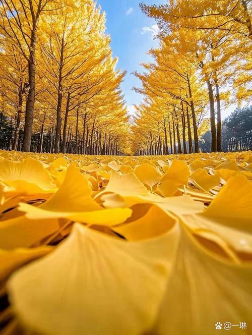 不一样的秋风  第1张