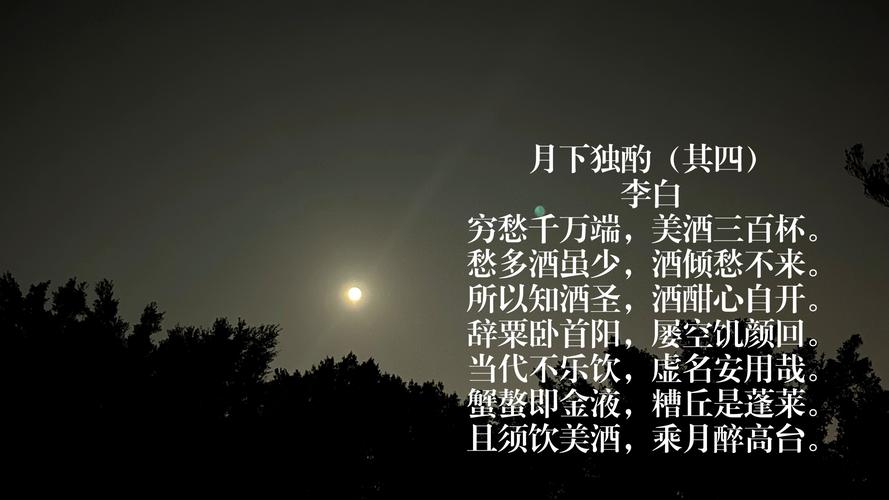 温一壶月光下酒  第1张