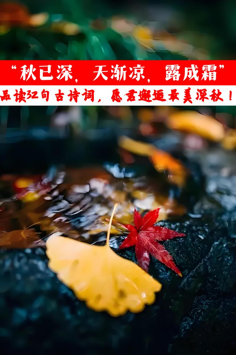 秋高气爽，适合遇见  第1张