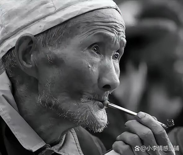 固执的岳父  第1张