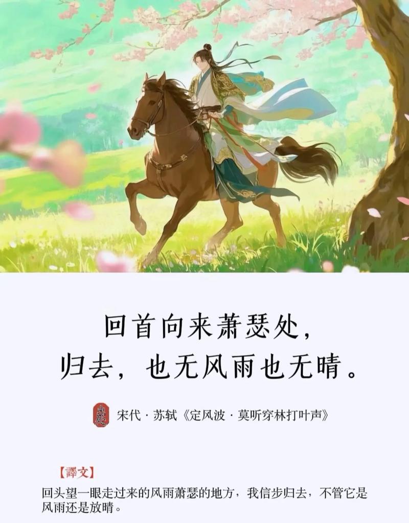 回首处，也无风雨也无晴  第1张