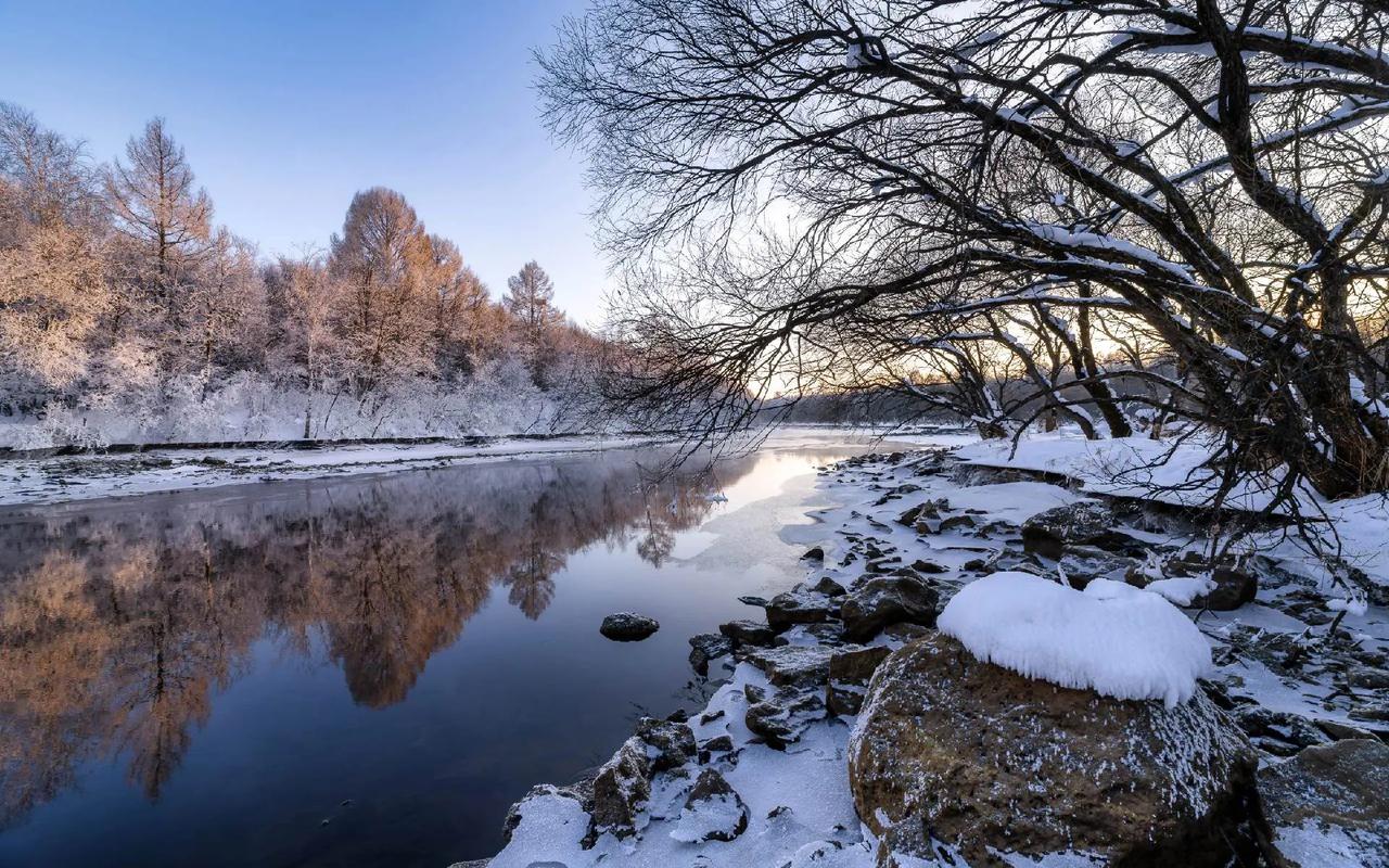 冬天最美的遇见  第1张