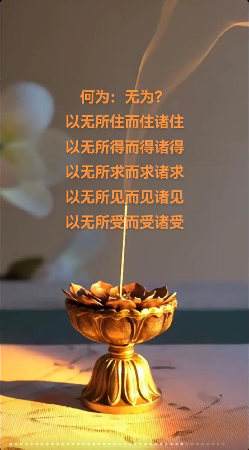 夜来悟语  第1张