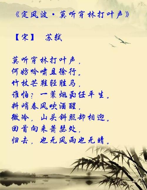 定风波 -屋檐滴落三分雨  第1张