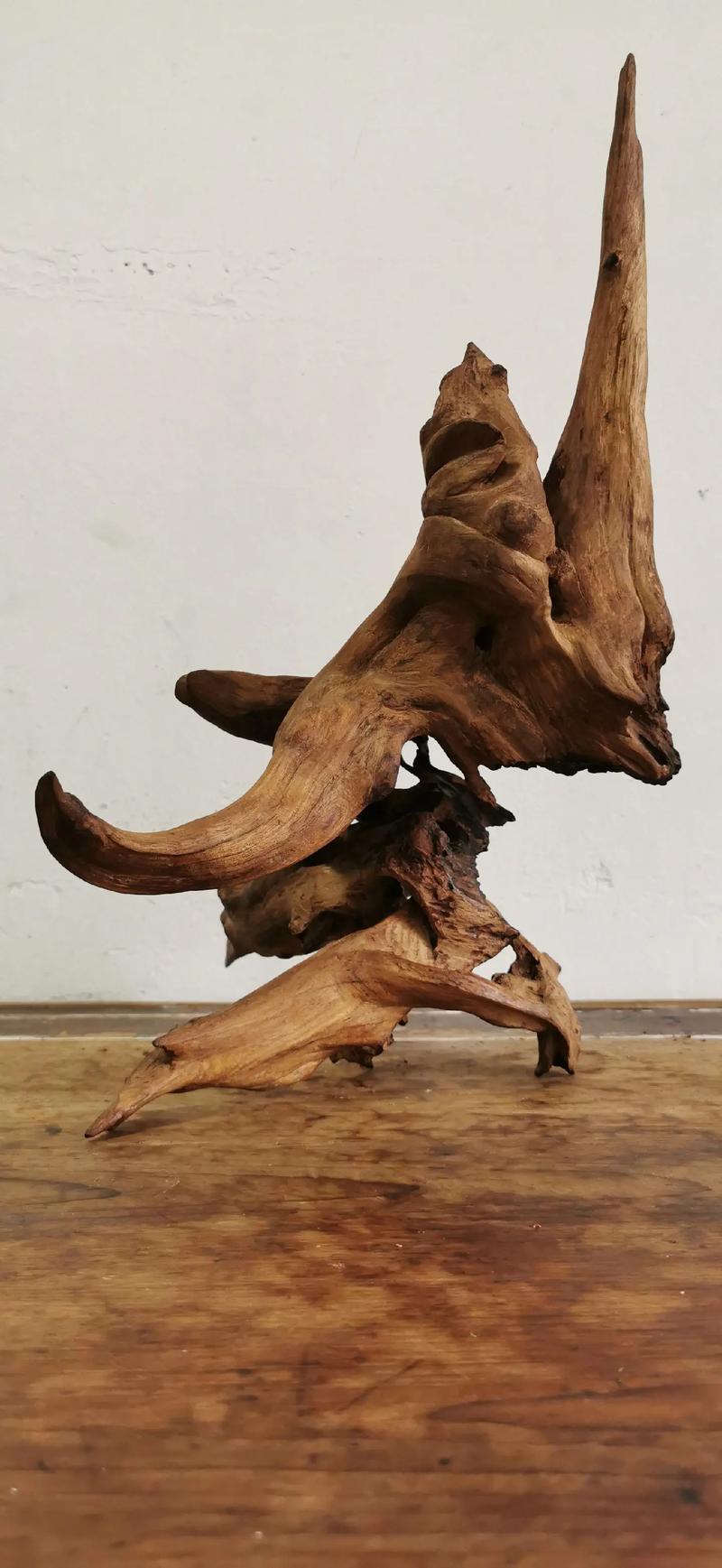 不要小瞧一块朽木  第1张