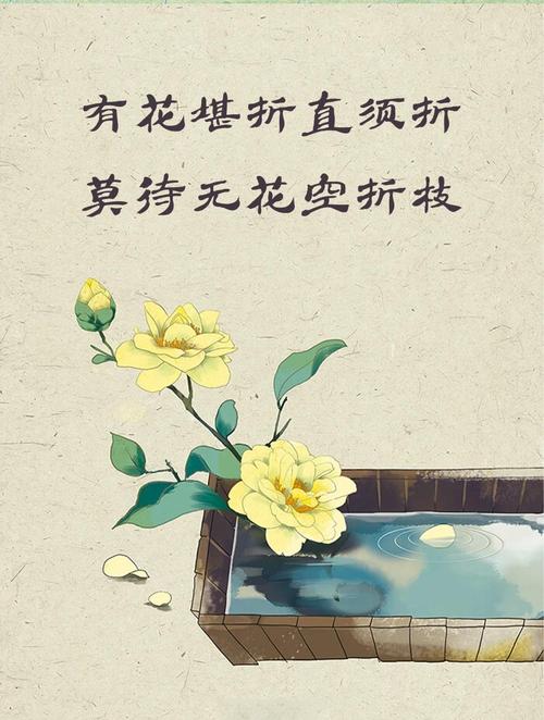 花有容，不及她一半，月有貌，比她弱三分  第1张