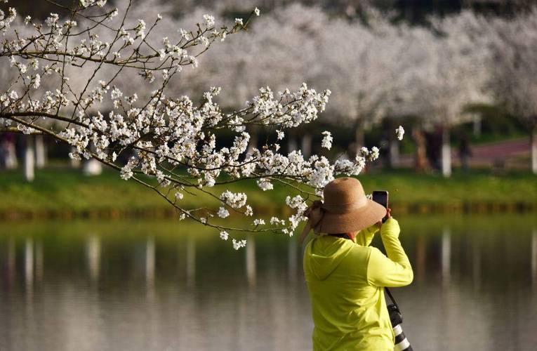 赏花观景  不负春光 第1张