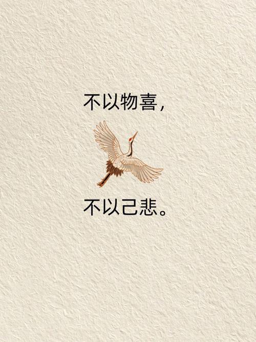 不以物喜不以己悲  第1张