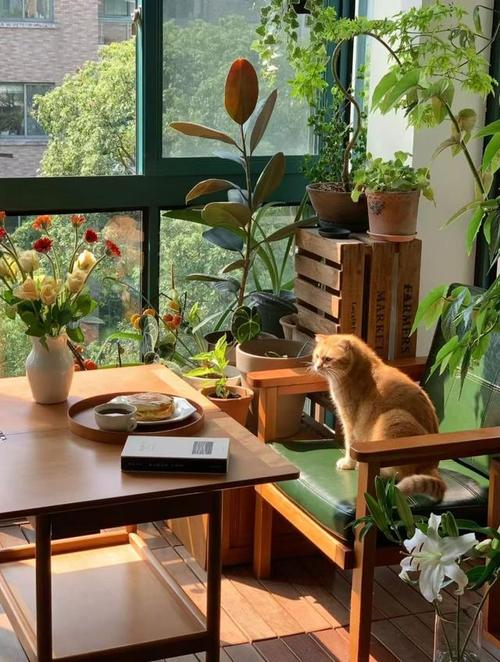 向往的独居生活  第1张