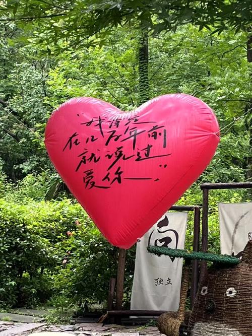 放爱一条生路  第1张