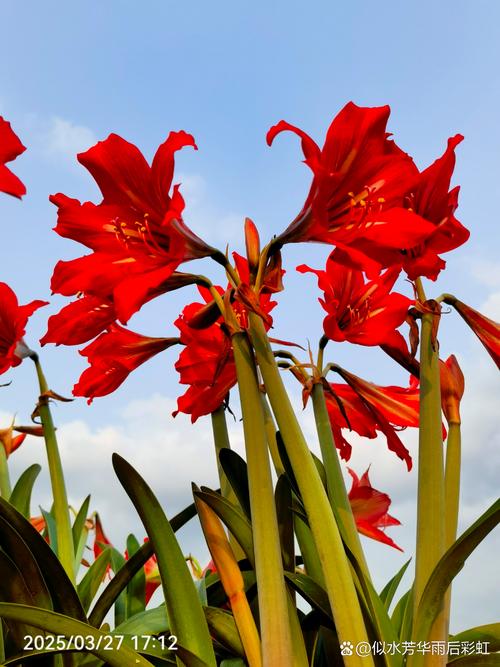 人间三月天  第1张