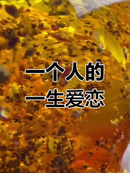 一个人的爱情  第1张