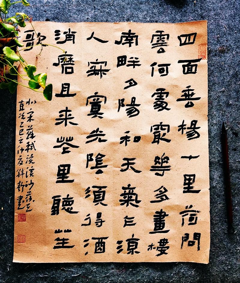 浣溪沙 又是一年荷花香  第1张