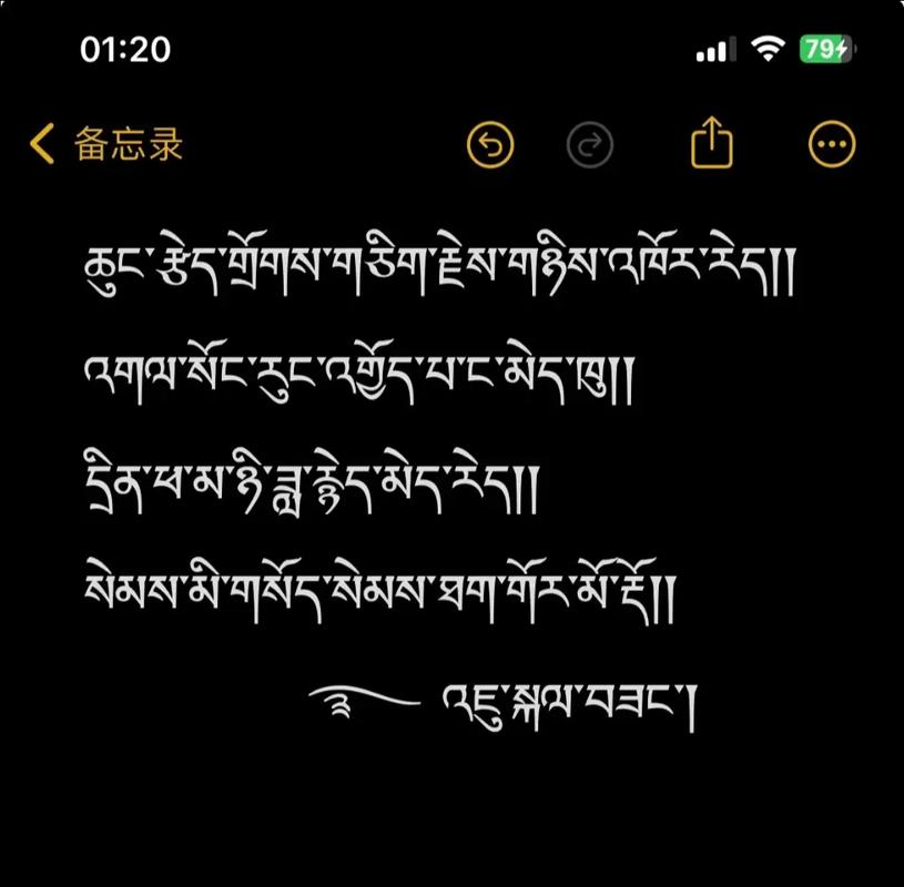 དྲིན་ཅན་ཨ་མ།  第1张