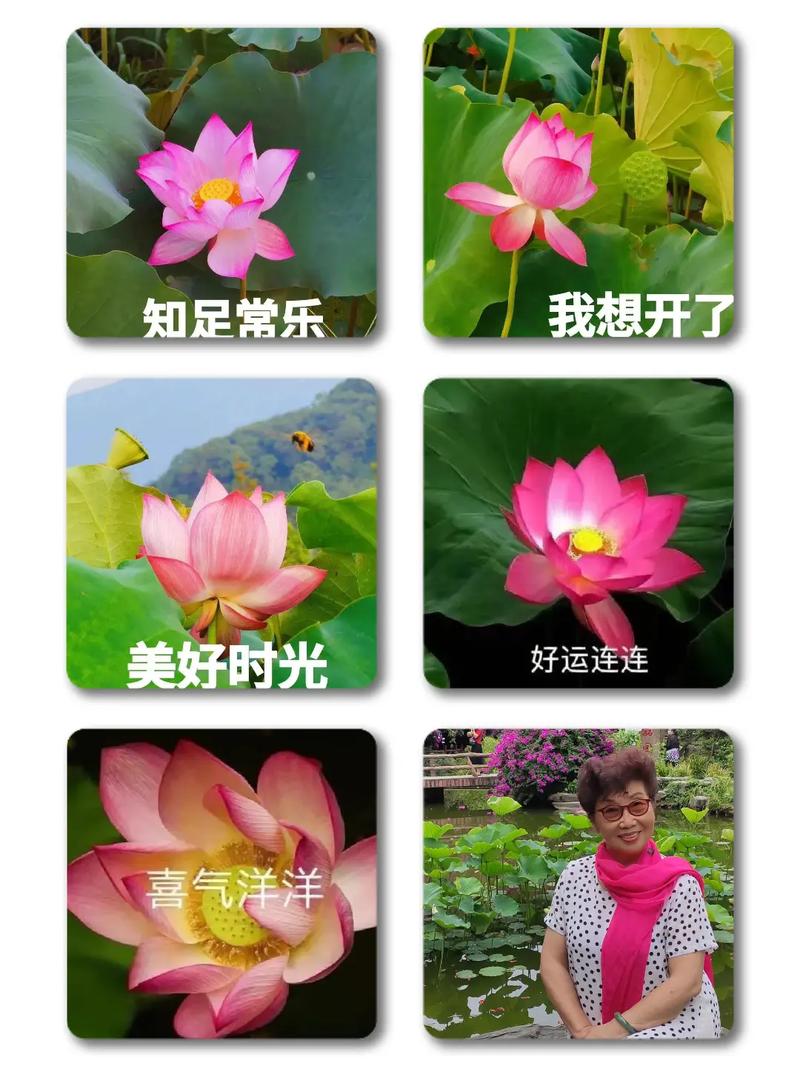 老妈也爱玩微信  第1张