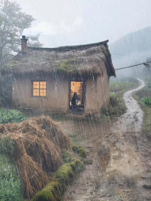 茅屋的记忆  第1张