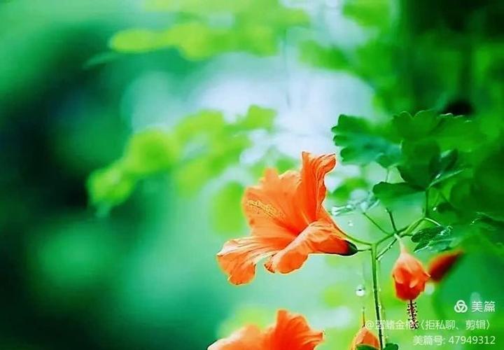 有一种温润叫情怀  第1张