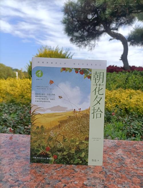 夕拾朝阳  第1张