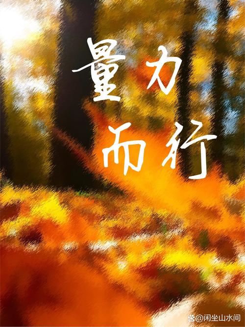 量力而行  第1张