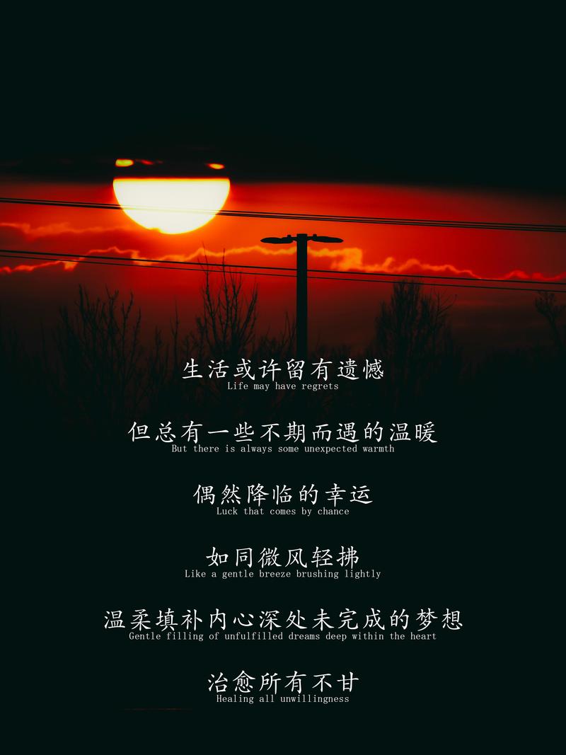 “你是被遗弃了的时间，而我却是偷来的朝阳落幕”  第1张