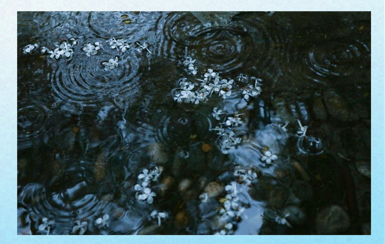 暮雨无晴  第1张