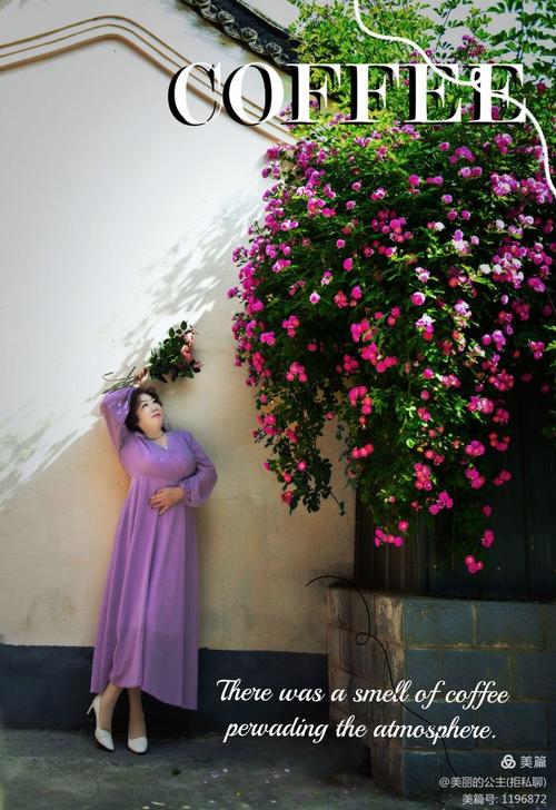 谁的浅夏渲染了流年  第1张