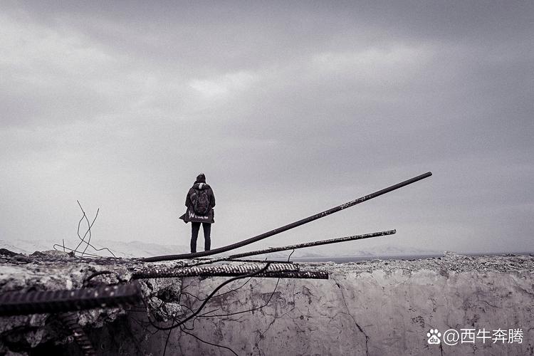 执着过的年华  第1张