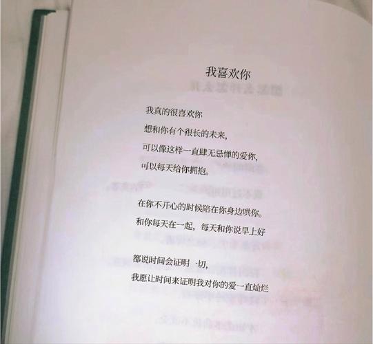 我想我还是很喜欢你  第1张